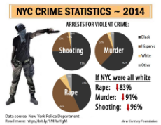 nyc rape stats.jpg