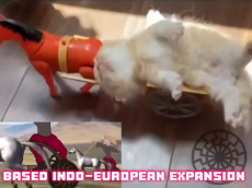 17646570762753.mp4