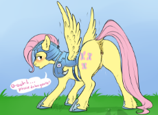 154721__explicit_artist-colon-cartoonlion_fluttershy_the crystal empire_anatomically correct_anus_armor_blushing_crotchboobs_dock_female_nipples_nudity.png