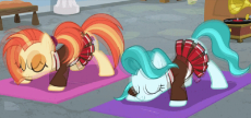 shimmy and lighthoof thrusting.gif