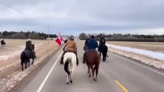 Cowboys joining the covid tyranny protesters..mp4