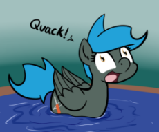 pegasus quack 00029.png