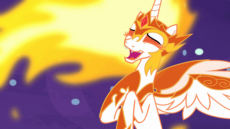 image.gif