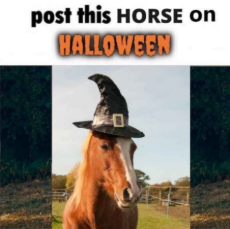 hoers.JPG