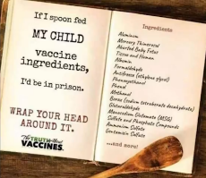 vaccine ingredients.png