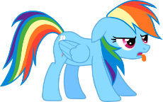 rainbow-dash-vector-not-amused-disgusted.png