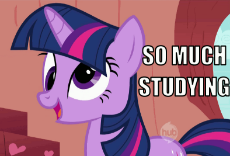 My Little Pony - Twilight Splarkle - So Much Studying.gif