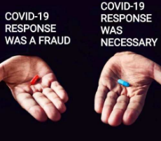 covid-19-response-red-pill-fraud-blue-was-necessary.jpg