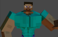 msc.jpg