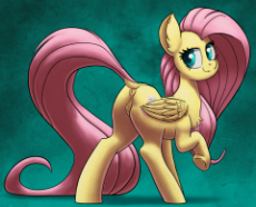 1777031__explicit_artist-colon-chromaskunk_artist-colon-yoditax_fluttershy_-colon-3_anatomically correct_anus_dock_female_looking back_mare_nudity_pega.png