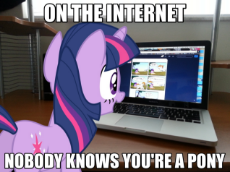Nobody Knows You're A Pony.jpg