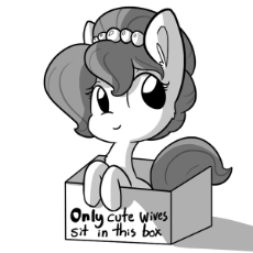 horse wife cute.png