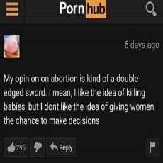 abortion opinion - best take.jpg