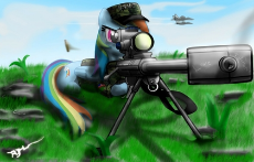 sniper rifles my little po….jpg