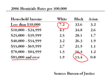 homicide_race_income.png