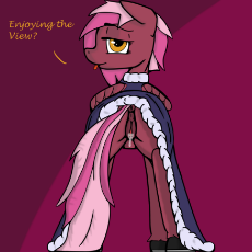 1493245__explicit_artist-colon-lambdacat_derpibooru exclusive_oc_oc only_oc-colon-zeny_absurd res_anus_bedroom eyes_clothes_dialogue_female_looking at .png