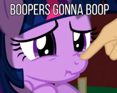 1041977__safe_twilight sparkle_animated_edit_text_scrunchy face_boop_hand_vibrating_dragon quest.png