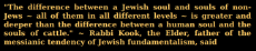 6 - A jewish soul and a non-jewish soul is like a human soul and a cattle soul.png