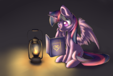 twilight laterne buch.png