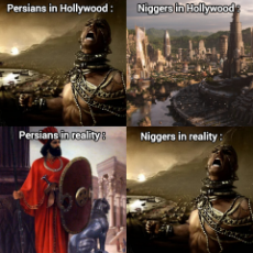 iran_niggers.jpg