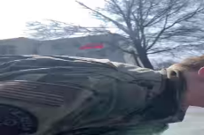 1740602240177922.webm