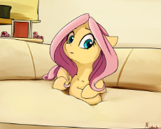 fluttershy - what.png