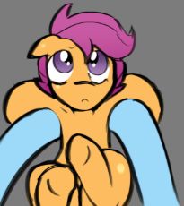 7284341.png