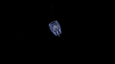 phronima.webm