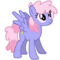 c94bd330-a7df-11ef-b356-c52127df94ba.png