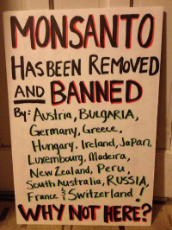 monsanto-countries-banned.jpg
