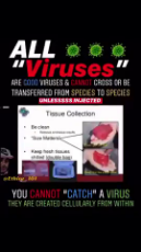 You Cannot catch a virus.mp4