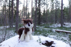 snowpity.jpg