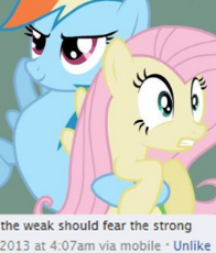 1489391__safe_fluttershy_rainbow dash_discussion in the comments_duckery in the comments_meme_op started shit_pony.png