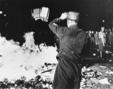 3 - Bücherverbrennung 1933 - (book burning 1933).jpg