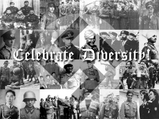 Celebrate Nazi Diversity.jpg