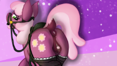 CH_S16.png
