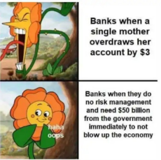 banks-single-mother-overdraws-account-dollars-risk-management-bailout.jpg