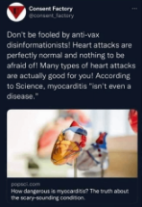 1636957694306 myocarditis, heart attacks (tinypng.com).png
