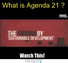 What Is Agenda 21.mp4