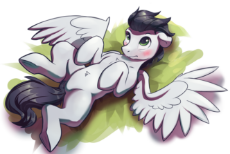 2708966__safe_soarin'_pony_solo_simple+background_male_pegasus_blushing_cute_wings_stallion_spread+wings_tail_floppy+ears_underhoof_chest+fluff_lyi.png
