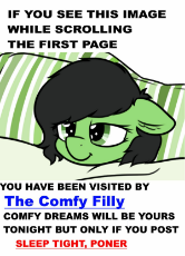 TheComfyFilly.jpg