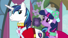 Twilight_and_Shining_Armor_smiling_at_each_other_S2E26.jpeg