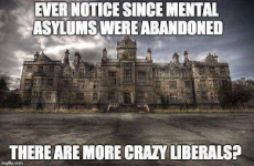 mental-asylums-crazy-libtards.jpg