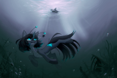 orchid-03.png