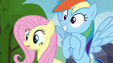 Fluttershy_and_Rainbow_Das….png