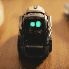vector.gif