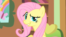 img-1539740-1-Fluttershy_smugs_S1E22.png