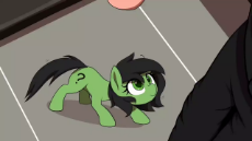 7188033.webm