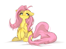 3652231__safe_artist-colon-tinygaypirate_derpibooru+import_fluttershy_pegasus_pony_g4_ahoge_fluffy_full+body_green+eyes_image_jpeg_long+hair_long+mane_.jpeg