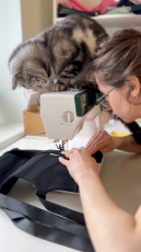 Cat Supervises Sewing.mp4